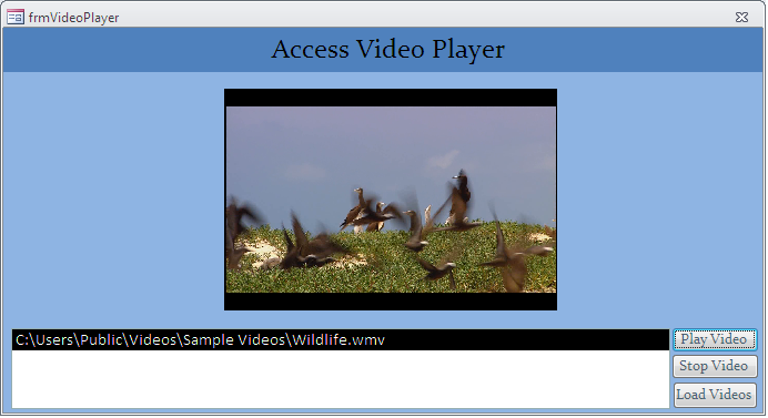 Video player implementation using Access VBA Fig-1.4